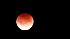Une éclipse totale de Lune visible à l’œil nu le 16 mai prochain