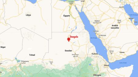 Soudan : les fondations d’une cathédrale médiévale découvertes sur les bords du Nil