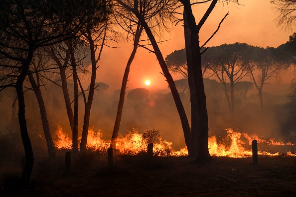 Feu de forêt près de Gonfaron, dans le Var, le 17 août 2021. (Photo by NICOLAS TUCAT/AFP via Getty Images)