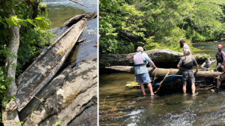 Des archéologues retirent d’une rivière un canoë amérindien sculpté dans les années 1700