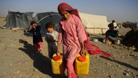 Les bergers et agriculteurs afghans affamés par le changement climatique