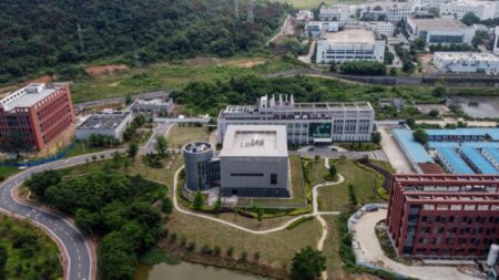 Les Instituts américains de la santé (NIH) compromis dans le financement des expériences de gain de fonction du laboratoire de Wuhan