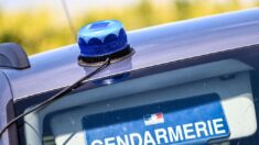 Ardennes : les premiers éléments de l’enquête criminelle après la découverte du corps de Valentin Gomes