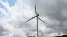 Une première en France : la cour d’appel de Toulouse reconnait la nocivité des éoliennes sur la santé