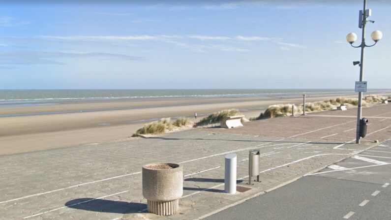 C'est sur la plage de Leffrincoucke près de Dunkerque que cette jeune mouette de Ross a élu domicile. (Capture d'écran/Google Maps)