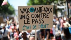 Comparution du groupe « antivax » du « V_V » auteur de raids numériques massifs