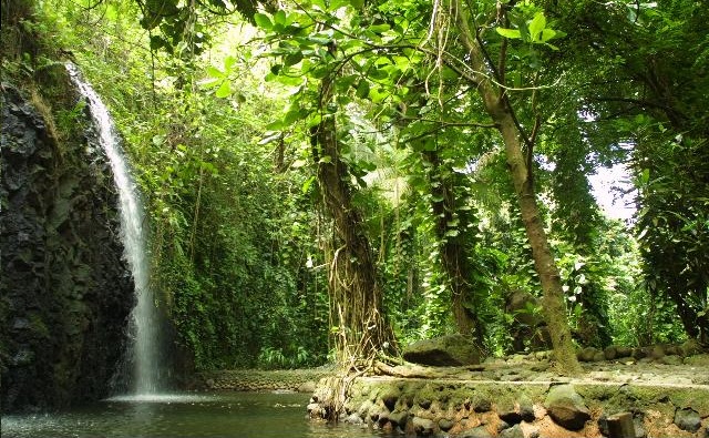 Le site de la cascade Vaihi à Faaone, sur l'île de Tahiti. (Domaine public)