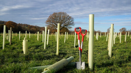 Finistère : un agriculteur lutte contre l’assèchement des sols en plantant des arbres