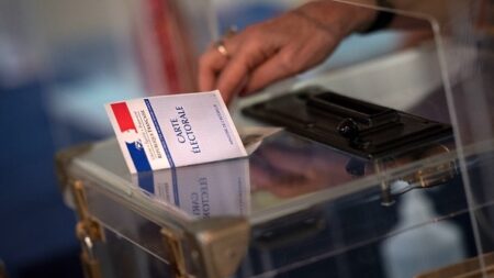 Législatives 2022 : coup d’envoi du vote par internet ce vendredi pour les Français vivant à l’étranger