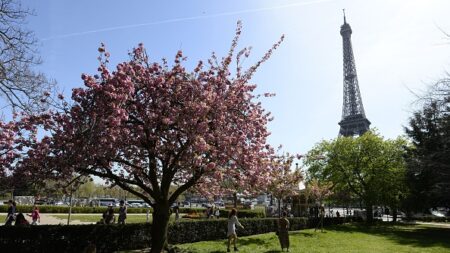 Arbres au pied de la Tour Eiffel : « Il n’y aura pas d’abattage d’arbre, l’engagement est pris par Anne Hidalgo »