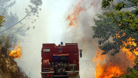 Cévennes : incendie arrêté avec la technique ancestrale du contre-feu