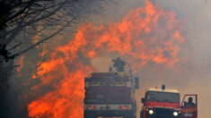Incendie en Gironde : un 14-Juillet de canicule, près de 4000 hectares partis en fumée