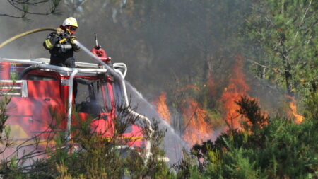 Gironde : les pompiers ont « dû faire face à 22 départs de feu de forêt » ces dernières 24 heures