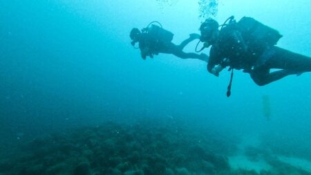 Trois épaves d’une flotte du XVIIe siècle authentifiées au large de la Manche