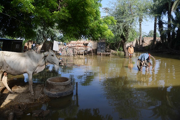 Ghulam Rasool, 80 ans, patauge dans les eaux de crue près de sa maison à la périphérie de Sukkur, le bilan des inondations de la mousson au Pakistan depuis juin a atteint 1 061 morts, selon les chiffres publiés le 29 août 2022. Photo par ASIF HASSAN/AFP via Getty Images.