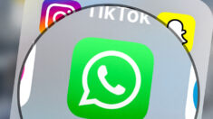 Cacher son numéro de téléphone sur Whatsapp : une nouvelle fonctionnalité bientôt disponible ?