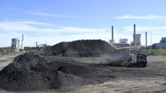 « Sobriété énergétique » : la centrale à charbon de Saint-Avold en Moselle prépare son redémarrage