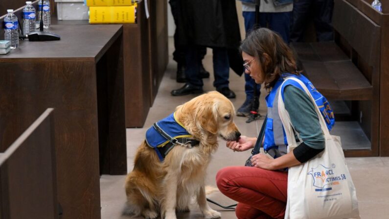 Un membre d'une association d'aide aux victimes caresse un chien d'assistance avant l'ouverture du procès de l'affaire Millas à Marseille, dans le sud de la France, le 19 septembre 2022. (Photo by NICOLAS TUCAT/AFP via Getty Images)