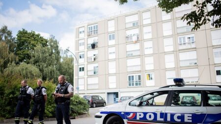 Femme poignardée à Nantes: des jeunes créent une « milice de quartier » et interpellent le meurtrier présumé