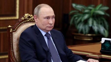 Poutine évoque l’envoi de 300.000 tonnes d’engrais au Mali