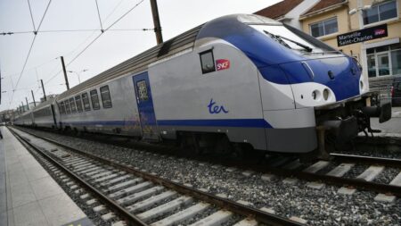 Une journaliste de BFMTV fait rater son train à une passagère pendant la grève des transports