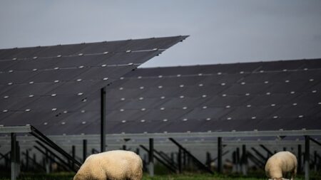 Dans la Nièvre, des paysans refusent de vivre à l’ombre de l’agrivoltaïsme