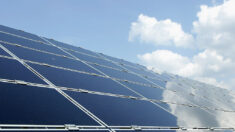 Énergies renouvelables: un film solaire organique révolutionnaire inventé par un laboratoire nantais