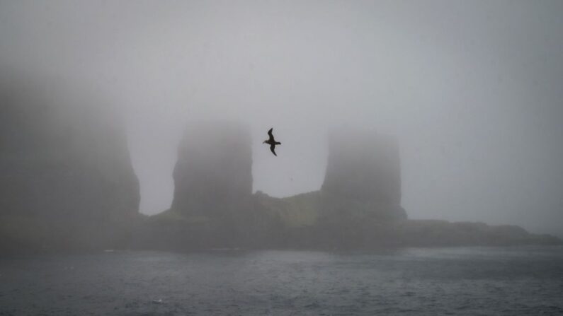 Les îles Kerguelen au large des TAAF. (Photo by PATRICK HERTZOG/AFP via Getty Images)