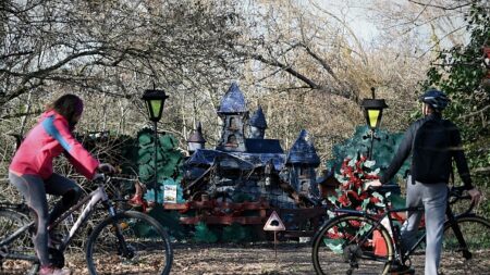 Un SDF contraint de détruire son « château de hobbits » près de Toulouse