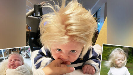 Les photos d’un bébé né avec une tête garnie de cheveux blonds font le tour du monde et il devient une « petite vedette »