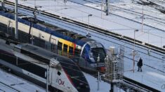 Un «échec cuisant»: le nouveau RER de Strasbourg tourne au fiasco