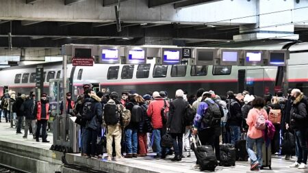 Paris: un TGV roule sur un chat et le tue, la SNCF refusait de retarder le départ du train