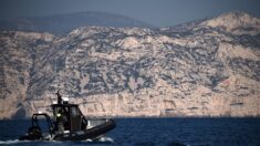 Parc national des calanques: amendes pour quatre pêcheurs-braconniers