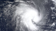 L’île de la Réunion menacée par un cyclone très intense