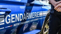Loiret : un gendarme meurt après avoir été percuté par une automobiliste