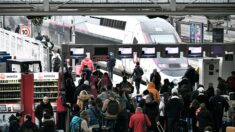 Gare de Reims: un passager ouvre lui-même un colis suspect, pour ne pas arriver en retard à Paris