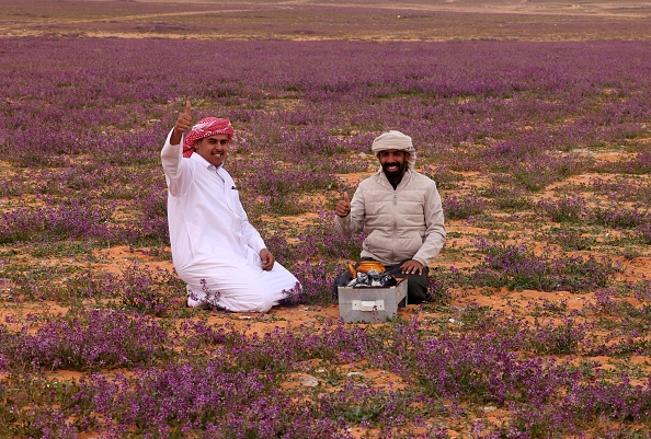 Deux hommes préparent du thé dans un champ couvert de fleurs de couleur lavande dans la ville de Rafha. (FAYEZ NURELDINE/AFP via Getty Images)