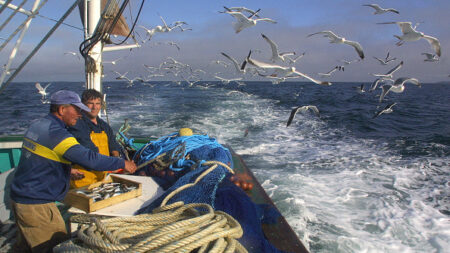 En manque de bras, la pêche bretonne peine à recruter