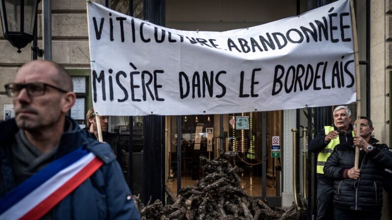 Des viticulteurs français brandissent une banderole devant le Conseil interprofessionnel du vin de Bordeaux (CIVB) lors d'une manifestation réclamant une prime à l'arrachage pour faire face à la crise de surproduction dans le Bordelais, à Bordeaux. (Photo par PHILIPPE LOPEZ/AFP via Getty Images)