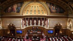 Retraites: suite du débat au Sénat, poursuite des grèves et doutes sur une majorité à l’Assemblée