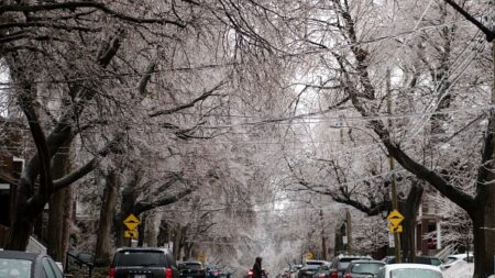 Tempête de glace au Canada: trois morts, des centaines de milliers de foyers toujours sans courant