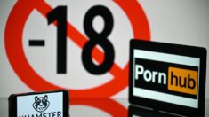 Blocage des sites pornos : décision attendue le 7 juillet