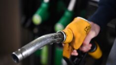 Le gouvernement veut que les prix du carburant «baissent plus vite»