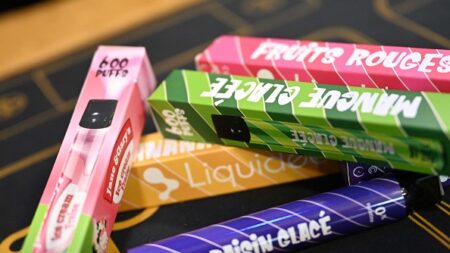 « Puffs » : les cigarettes électroniques jetables toujours plus prisées par les ados