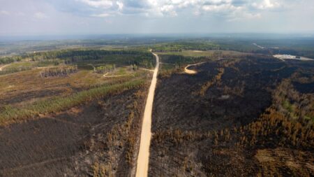 Canada: appel à l’aide internationale pour lutter contre l’extension très préoccupante des incendies