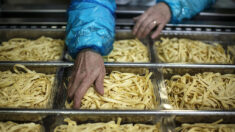 États-Unis: des centaines de kilos de pâtes abandonnés près de New York