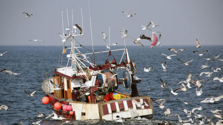 L’aide «carburant» de 20 centimes pour les pêcheurs officiellement prolongée jusqu’au 15 octobre