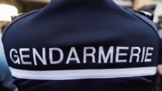 L’inspection générale de la gendarmerie saisie de 54 nouvelles enquêtes judiciaires en 2023