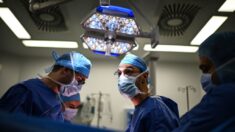 Des chirurgiens parviennent à opérer une grave malformation cérébrale sur un fœtus
