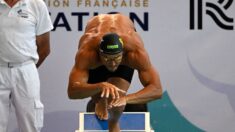 Natation: Florent Manaudou signe la meilleure performance mondiale de l’année sur 50 m nage libre